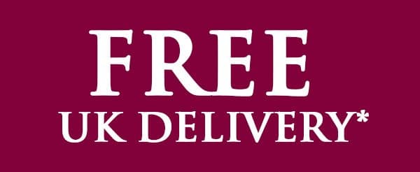 free-delivery-icon-hugo